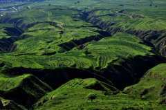 踐行綠色金融 新能源租賃助實體經濟提質增效