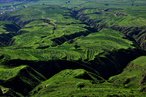 1480573800738425.jpg 636156759893032972158.jpg